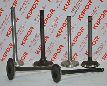 ������ �������� Kipor KGE6500  